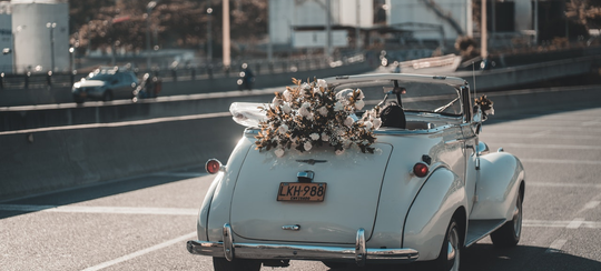 Auto generated site event decorator